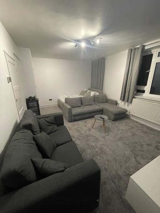 Lovely Spacious Studio Apartment, Separate Kitchen Londres